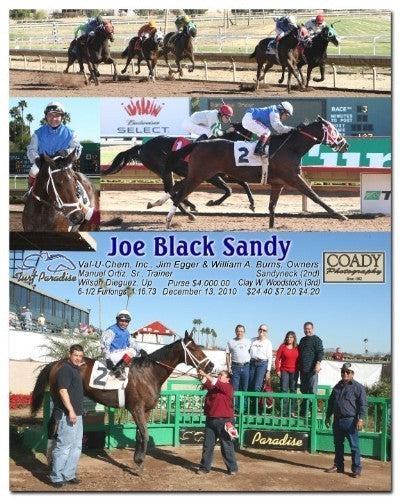 Joe Black Sandy - 121310