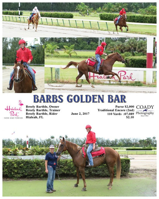 BARBS GOLDEN BAR - 060217 - Race 11 - HIA