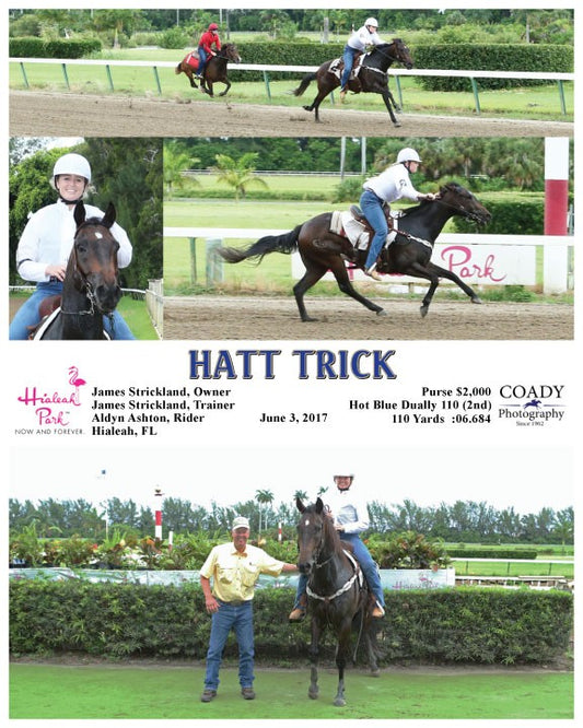HATT TRICK - 060317 - Race 03 - HIA