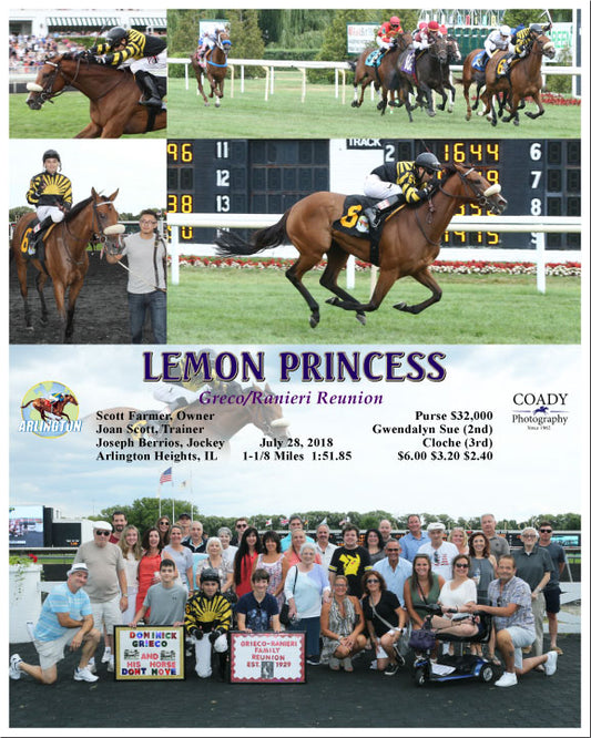 LEMON PRINCESS - 072818 - Race 08 - AP - Group