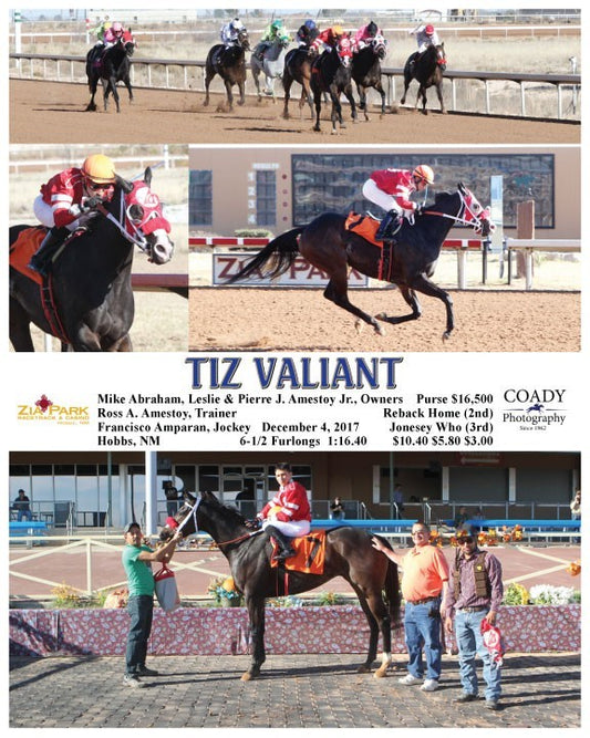 TIZ VALIANT - 120417 - Race 05 - ZIA