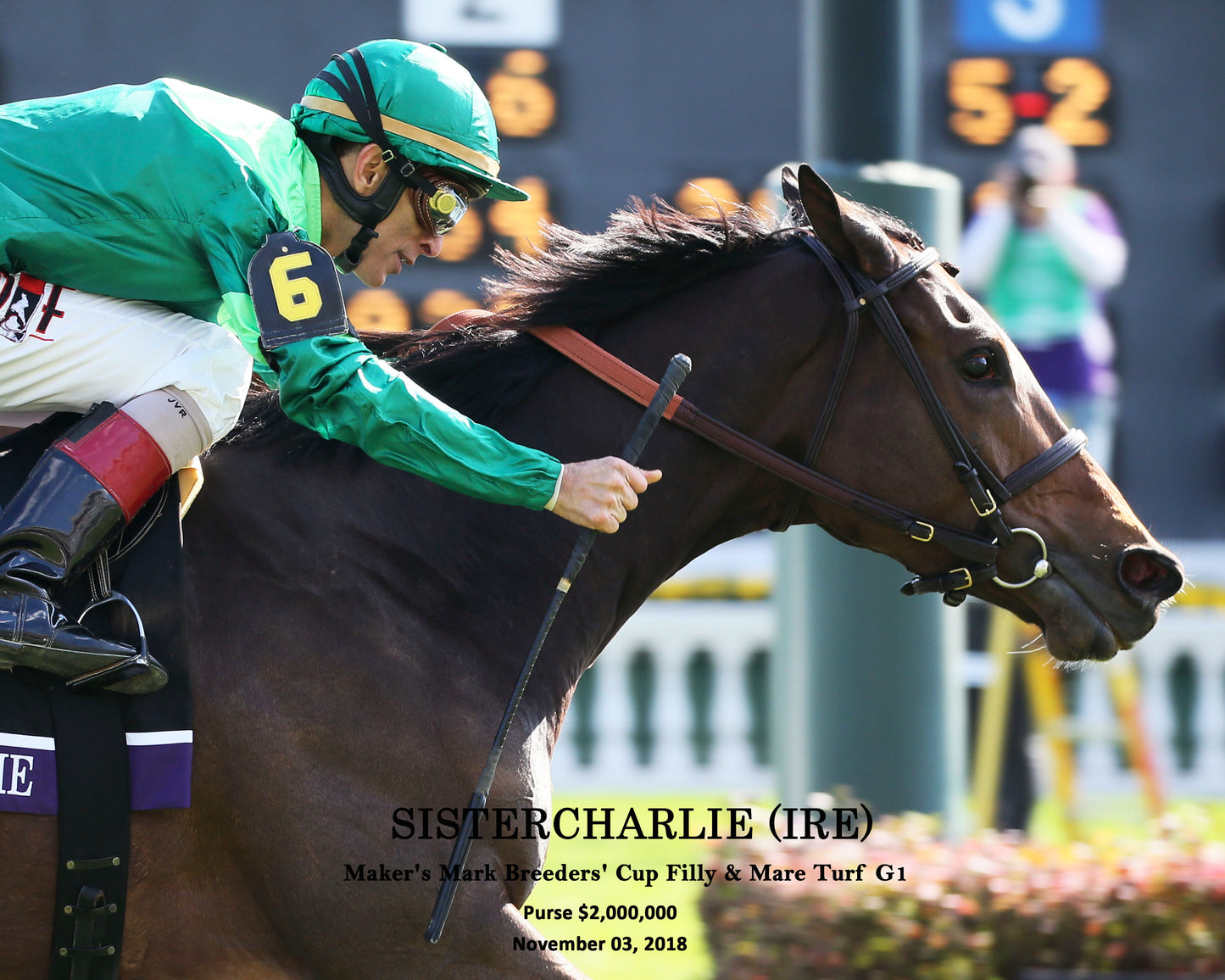 SISTERCHARLIE (IRE) - Maker's Mark Breeders' Cup Filly & Mare Turf G1 - 11-03-18 - R06 - CD - Finish 03 W Ident