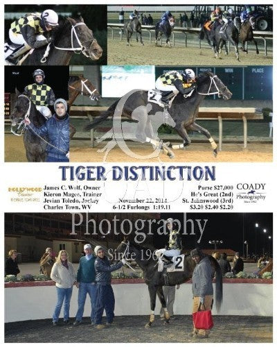 Tiger Distinction - 112214 - Race 07 - CT
