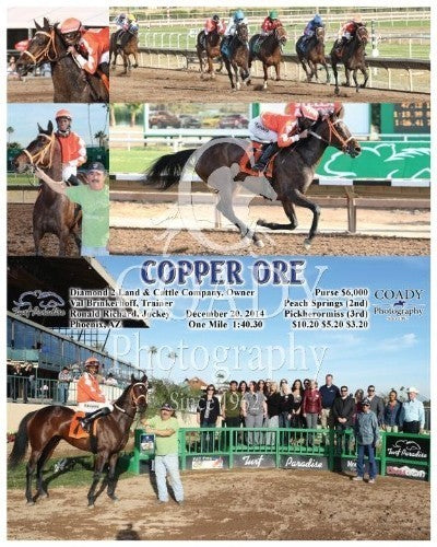 Copper Ore - 122014 - Race 06 - TUP