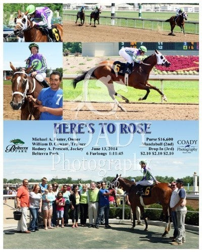 HERE'S TO ROSE - 061314 - Race 02 - BTP