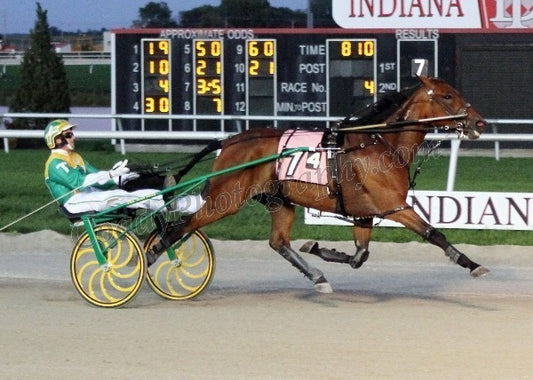 Cincinnati Star - INDIANA SIRES STAKES GOLD LEVEL