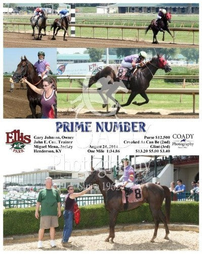 Prime Number - 082414 - Race 01 - ELP