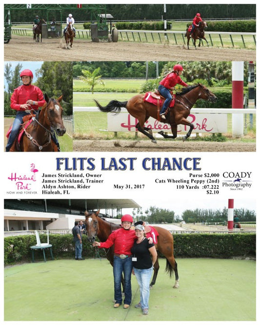 FLITS LAST CHANCE - 053117 - Race 04 - HIA