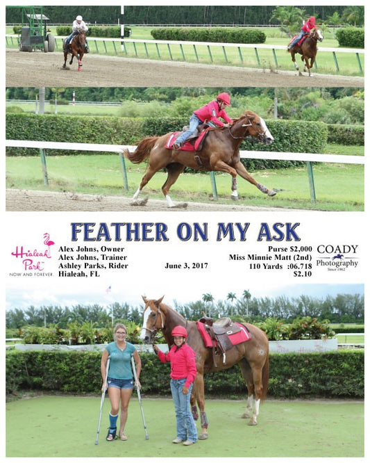 FEATHER ON MY ASK - 060317 - Race 07 - HIA