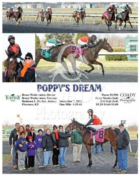 POPPY'S DREAM - 120714 - Race 03 - TP