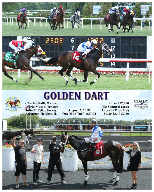 GOLDEN DART - 080218 - Race 04 - AP