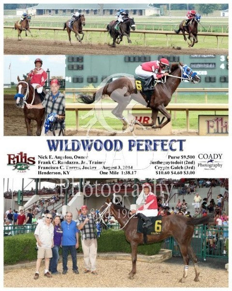 WILDWOOD PERFECT - 080314 - Race 07 - ELP