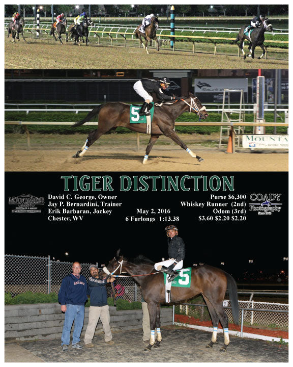 TIGER DISTINCTION - 05-02-16 - R07 - MNR