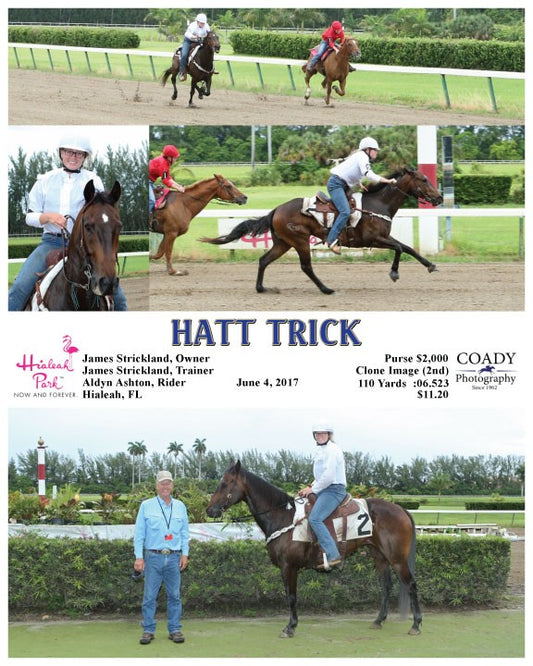 HATT TRICK  - 060417 - Race 15 - HIA