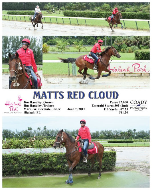 MATTS RED CLOUD - 060717 - Race 06 - HIA