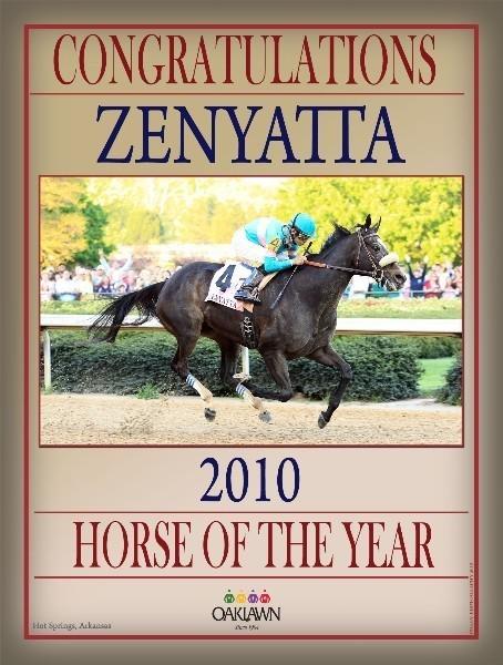 Zenyatta - 2010 Horse of the Year - 18x24 Print