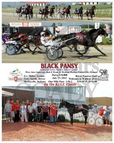 Black Pansy - 072512 - Race 05