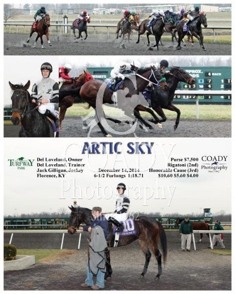 ARTIC SKY - 121414 - Race 04 - TP