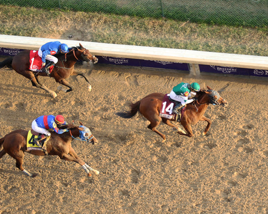 ACCELERATE - Breeders' Cup Classic G1 - 11-03-18 - R11 - CD - Aerial Finish 01