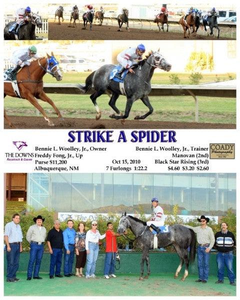 STRIKE A SPIDER  -  10/15/2010