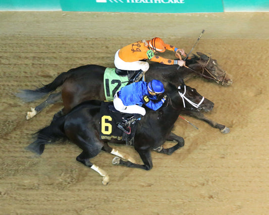 ENTICED - 112517 - Race 11 - CD - Aerial Finish 1