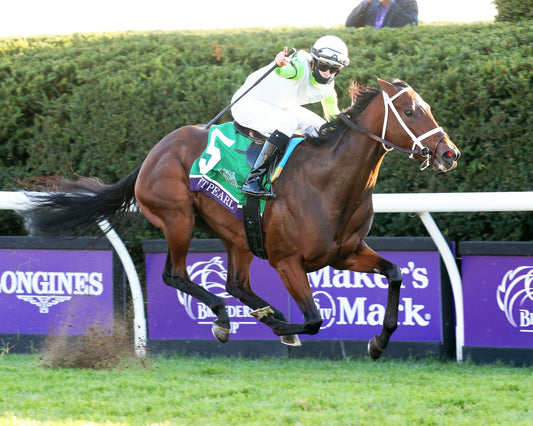 AUNT PEARL - Juvenile Fillies Turf G1 - 11-06-20 - R09 - KEE - Finish 02