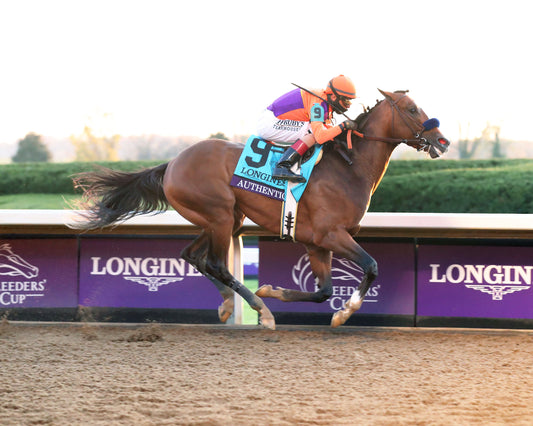 AUTHENTIC - Breeders' Cup Classic G1 - 11-07-20 - R12 - KEE - Finish 02