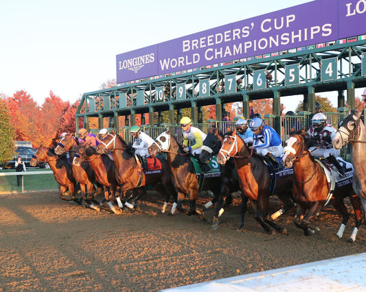 AUTHENTIC - Breeders' Cup Classic G1 - 11-07-20 - R12 - KEE - Gate Start 03