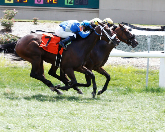 AUTHENTIC COWTOWN - The Horizon Stakes - 08-07-20 - R05 - BTP - Finish 01