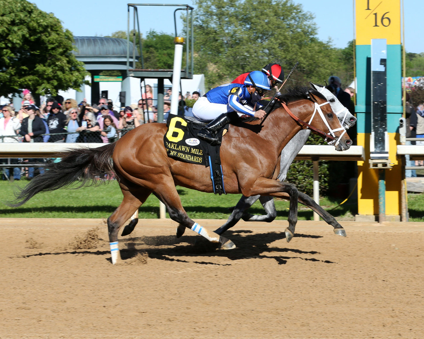 BY MY STANDARDS - The Oaklawn Mile - 3rd Running - 04-10-21 - R09 - OP - Finish 01