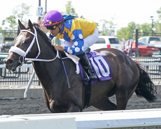 CARPENTERS CALL - The Peach Street Stakes - 2nd Running - 08-22-22 - R06 - PID - Inside Finish