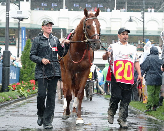 COUNTRY HOUSE - The Kentucky Derby - 145th Running - 05-04-19 - R12 - CD - Paddock 03