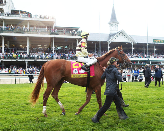 COUNTRY HOUSE - The Kentucky Derby - 145th Running - 05-04-19 - R12 - CD - Walk In 02
