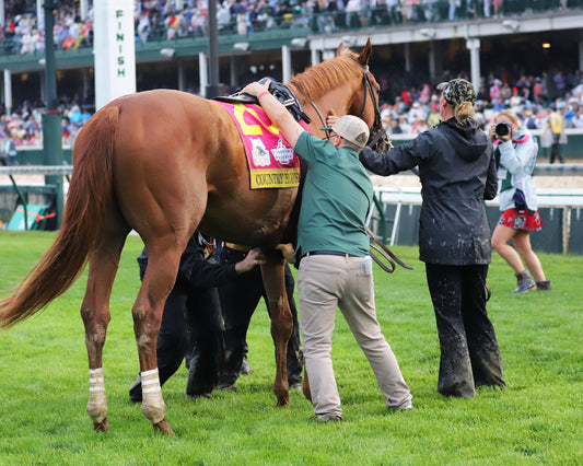 COUNTRY HOUSE - The Kentucky Derby - 145th Running - 05-04-19 - R12 - CD - Winners Circle Saddling 01