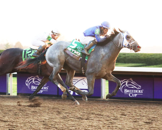 ESSENTIAL QUALITY - Breeders' Cup Juvenile G1 Presented by Thoroughbred Aftercare Alliance - 11-06-20 - R10 - KEE - Finish 01