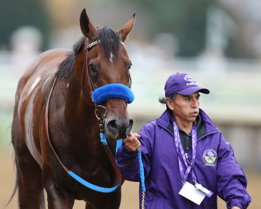 FLIGHTLINE - Longines Breeders' Cup Classic G1 - 39th Running - 11-05-22 - R11 - KEE - Sigh of Relief 01