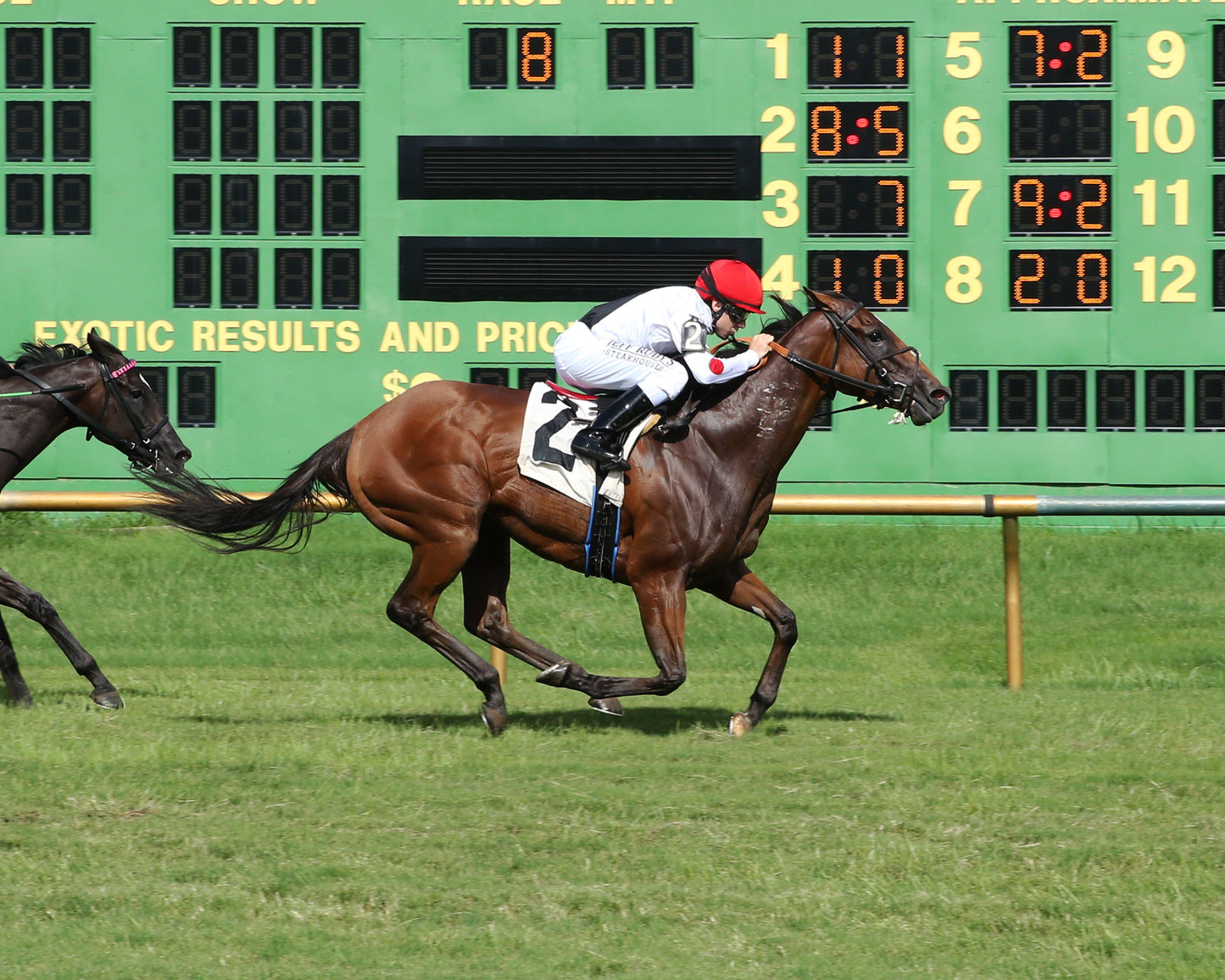 INTO MYSTIC - Kentucky Downs Preview Ladies Sprint - 2nd Running - 08-02-20 - R08 - ELP - Finish 01