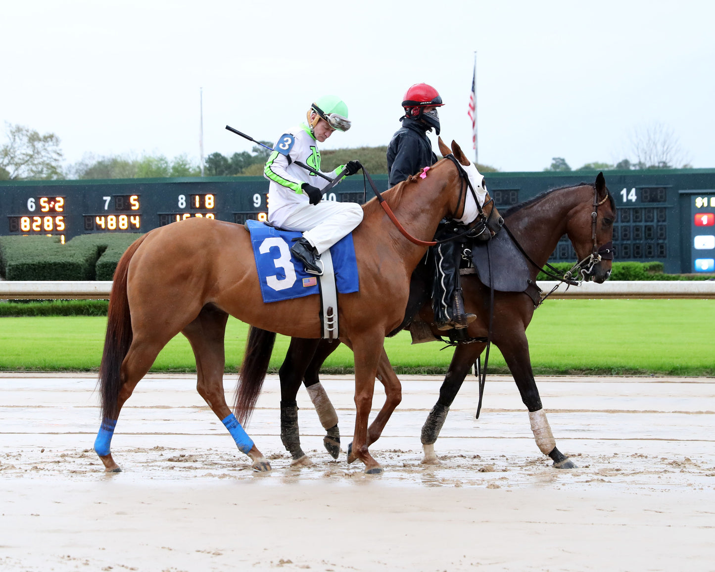K J'S NOBILITY - The Nodouble Breeders' Stakes - 12th Running - 03-28-20 - R09 - OP - Post Parade 01