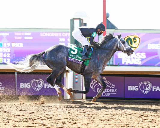 KNICKS GO - Breeders' Cup Dirt Mile G1 - 11-07-20 - R06 - KEE - Finish 01