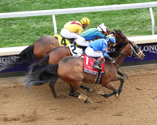 MALATHAAT - Longines Breeders' Cup Distaff G1 - 39th Running - 11-05-22 - R09 - KEE - Aerial Finish 01