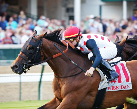 MARCH TO THE ARCH - The Wise Dan G2 - 30th Running - 06-15-19 - R06 - CD -Inside Finish 01
