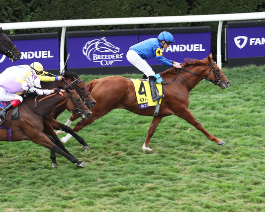 MODERN GAMES - FanDuel Breeders' Cup Mile G1 - 39th Running - 11-05-22 - R08 - KEE - Aerial Finish 01