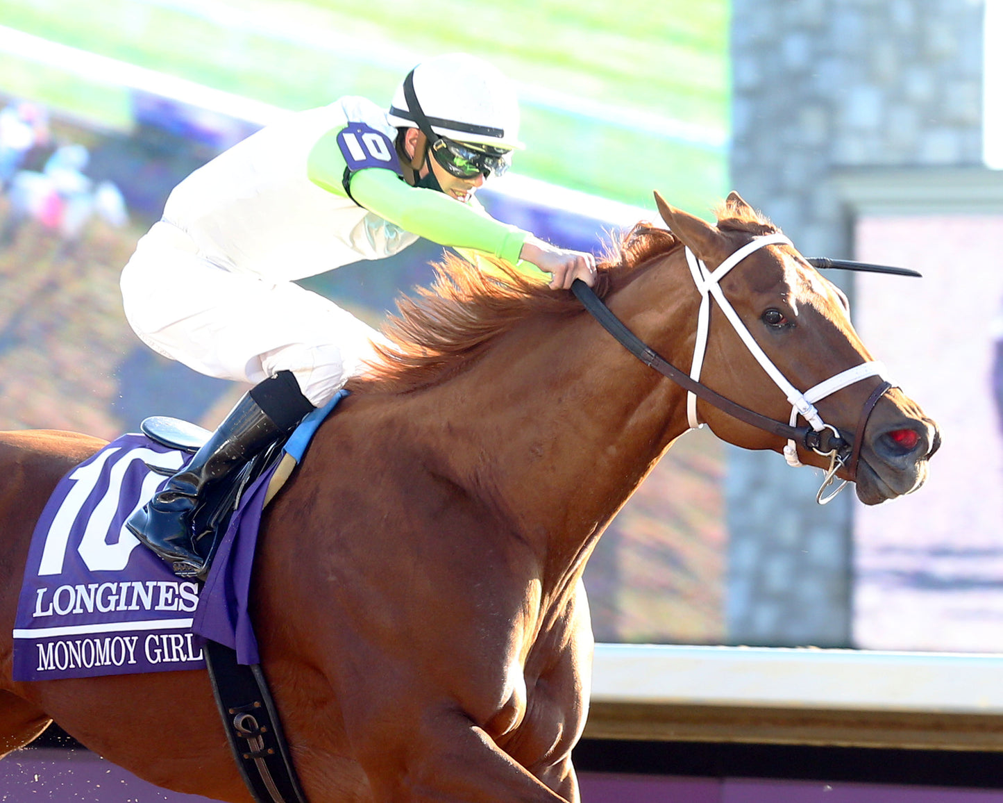 MONOMOY GIRL - Breeders' Cup Distaff G1 - 11-07-20 - R10 - KEE - Finish 04