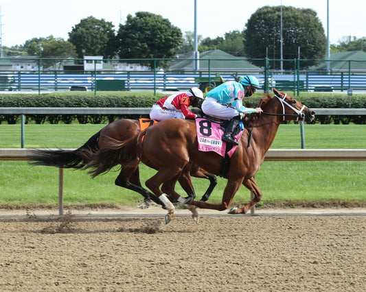 MONOMOY GIRL - The La Troienne G1 - 35th Running - 09-04-20 - R11 - CD - Turn Tight 01