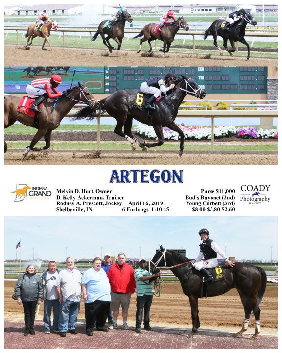 ARTEGON - 04-16-19 - R01 - IND