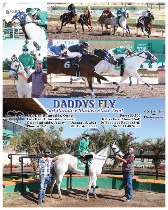DADDYS FLY - Turf Paradise Maiden Stake Trial - 01-05-21 - R01 - TUP