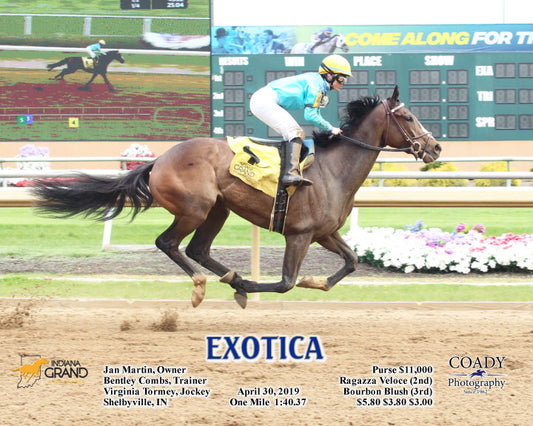 EXOTICA - 043019 - Race 01 - IND - Action