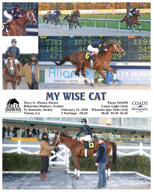 MY WISE CAT - 022120 - Race 01 - DED