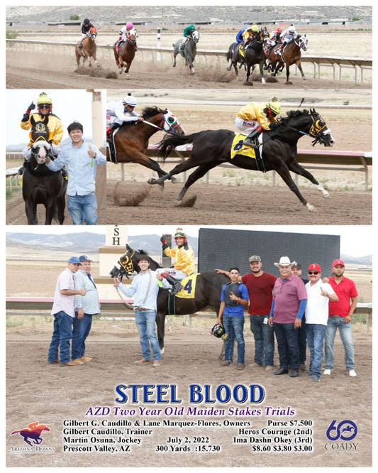 STEEL BLOOD - AZD Two Year Old Maiden Stakes Trials - 07-02-22 - R01 - AZD