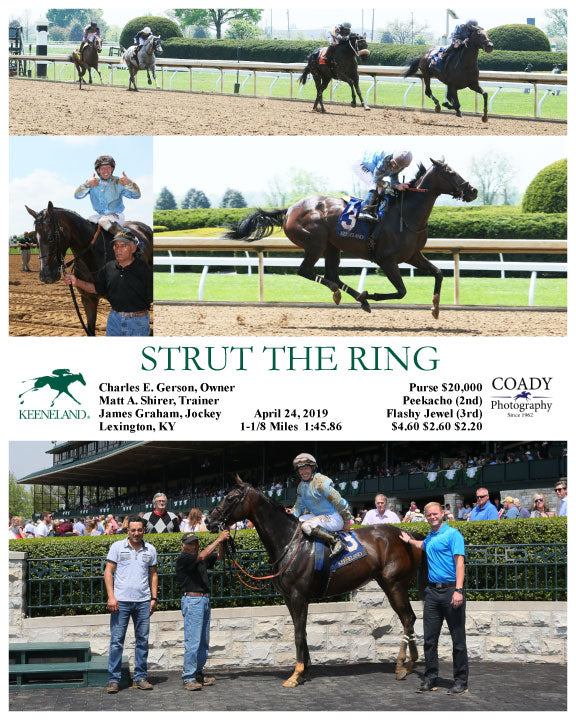 STRUT THE RING - 042419 - Race 01 - KEE